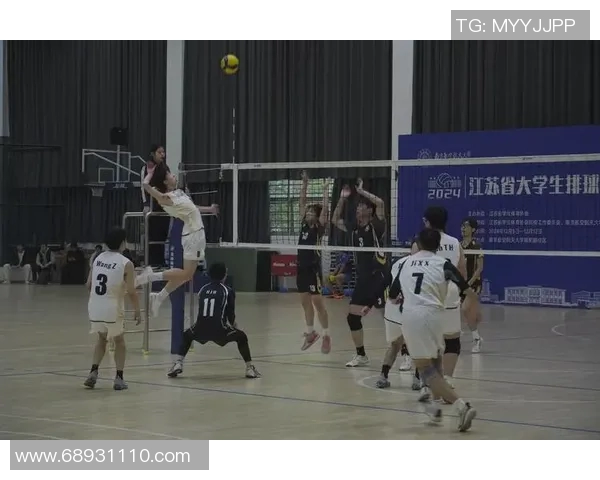 上海排球队的节奏揭秘：深度解析排球战术与团队协作的艺术